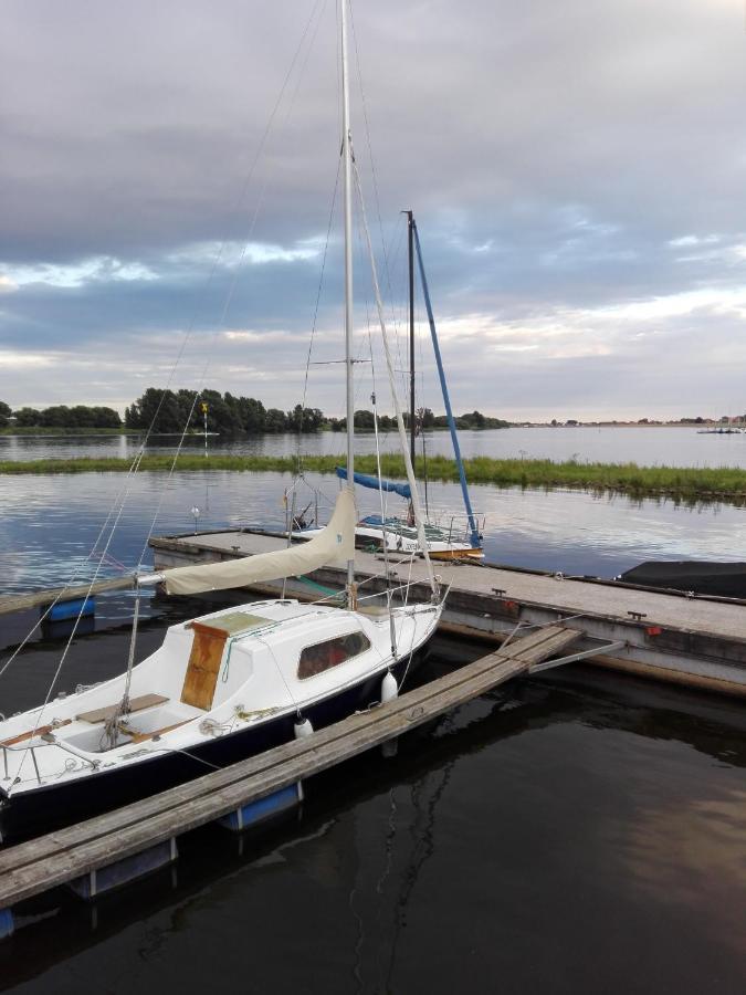 Ferienwohnung Elbe Diek Stelle المظهر الخارجي الصورة